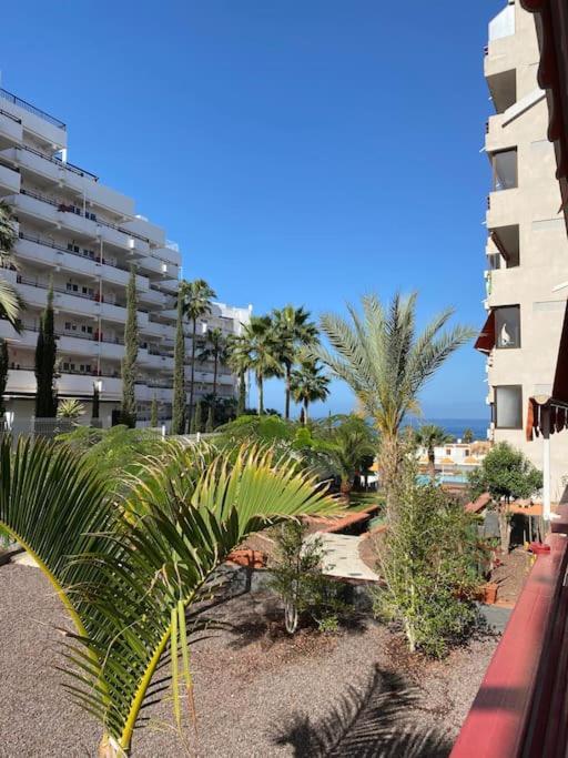 Delizioso Studio Residence Olympia A Playa De Las Americas Extérieur photo